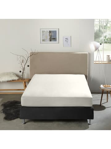 REDBEST Single-Jersey Boxspring-Spannbettlaken Denver in wollweiß