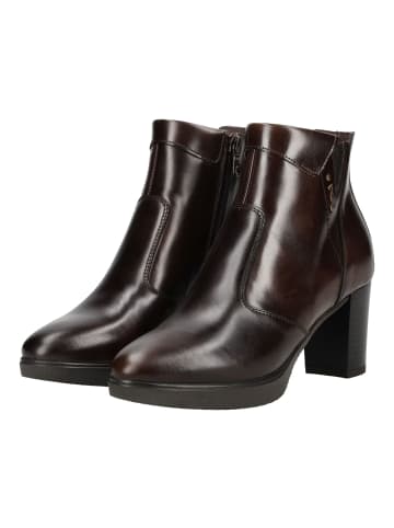 Nero Giardini Stiefelette in Dunkelbraun