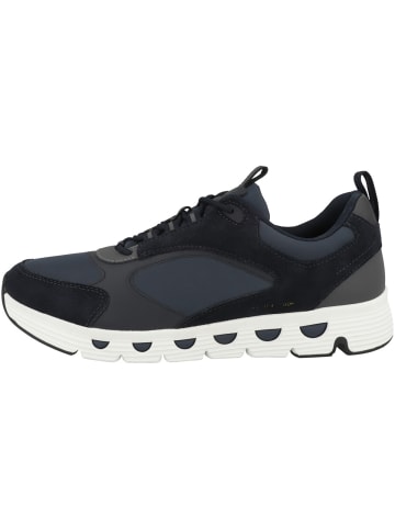 Geox Sneaker low U Spherica Ecub-4 A in dunkelblau