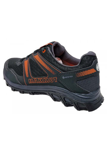 Mammut Wanderschuh MTR71IIIow GTX in Grau