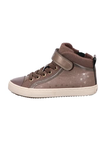 Geox Sneaker High in Braun