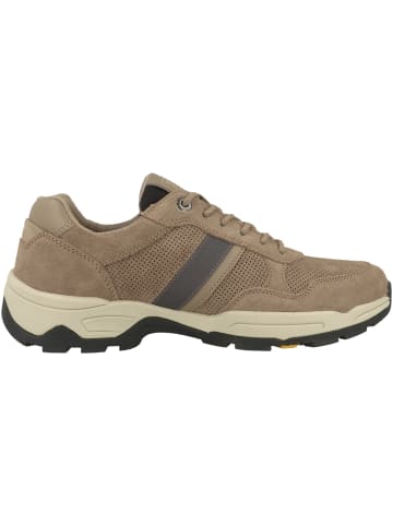 Camel Active Sneaker low 53EV001 in braun