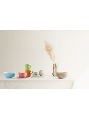 Seltmann Weiden 6er Set Kaffeetassen mit Untertassen Liberty Pure Colors 260 ml in Mixed