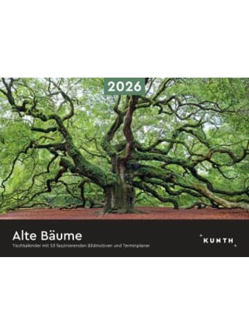 Kunth Kalender - Alte Bäume - KUNTH Tischkalender 2026