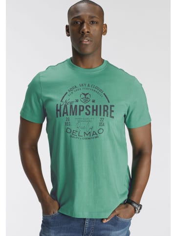 Delmao T-Shirt in grün