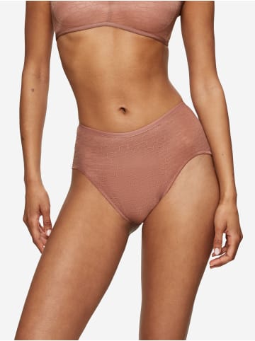 Triumph Maxislip Red Label Signature Sheer in TOASTED ALMOND