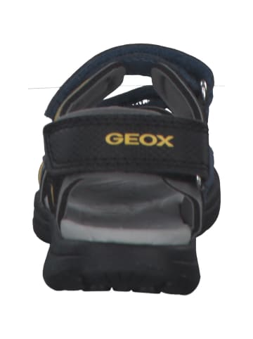 Geox Sandalen in AVIO/DK YELLOW