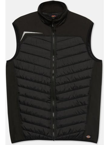Dickies Steppjacke in Schwarz
