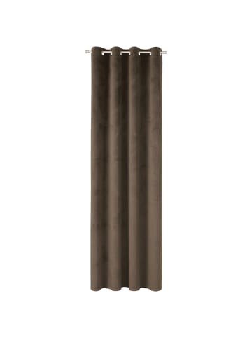Tom Tailor TT Ösenvorhang VelvetSignature 140 x 250 cm in Braun