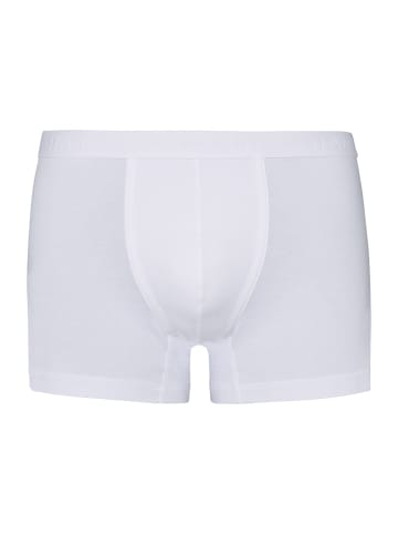 Hanro Pants Cotton Essentials in all white