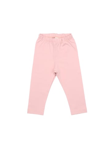 Walkiddy Leggings Leggings aus Baumwolle (Bio)
