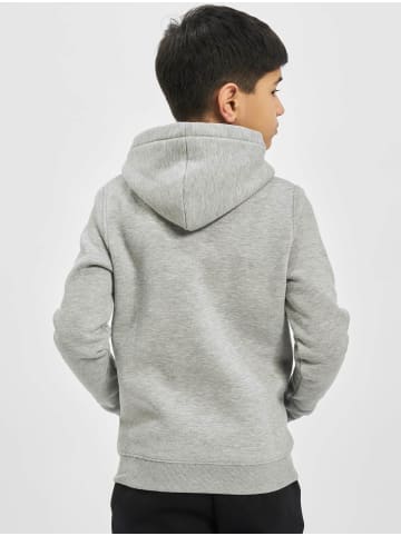 Alpha Industries Alpha Industries Hoodie in grey heather
