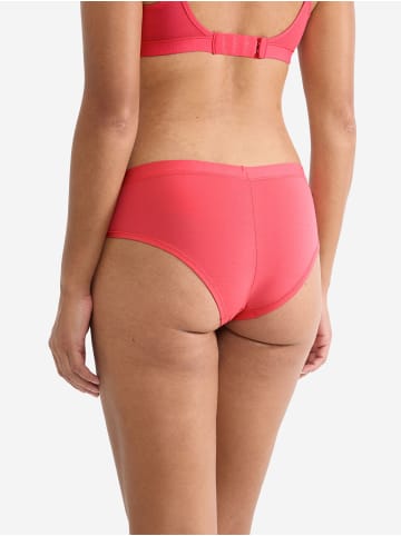 Sloggi Retro Boxer Blue FREE Evolve in Flamingo
