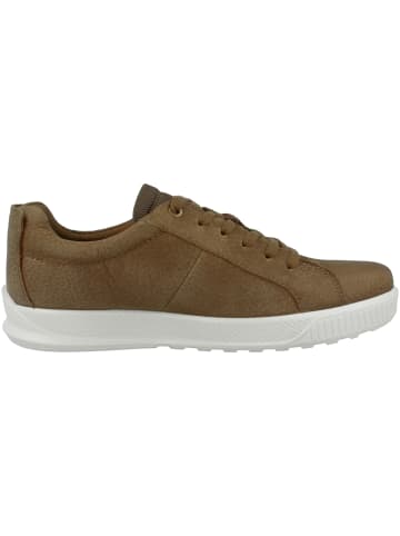 Ecco Sneaker low Byway in braun