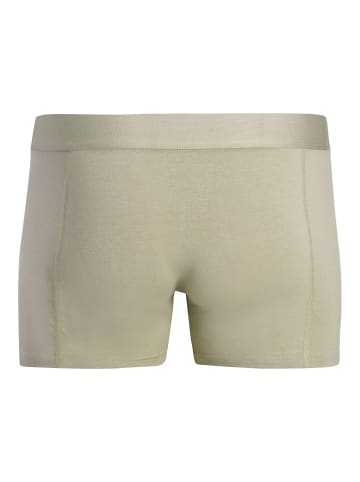Jack & Jones 3er-Pack Trunks in Smokey Olive
