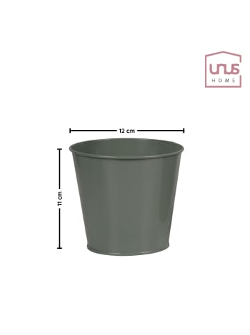 UNUS Kräuterregal, Pflanzenhalter in Natur