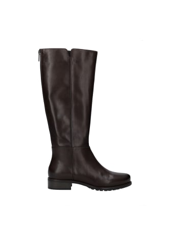 Josef Seibel Stiefel Chiara 01 in braun