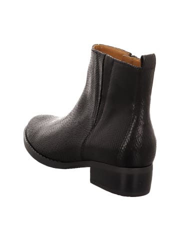 Gabor Klassische Stiefeletten in Schwarz