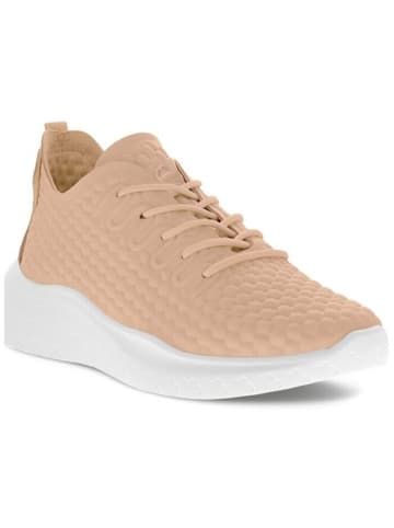 Ecco Sneaker THERAP W in tuscany