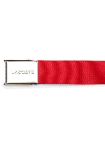 Lacoste Gürtel in Rot (Rouge 240)