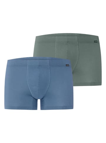 Hanro Panty Cotton Essentials in studio green / retro blue