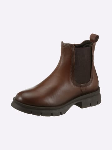 Andrea Conti Stiefelette in cognac