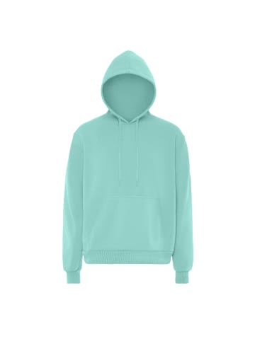 MO Herren Kapuzenpullover in EISMINZE