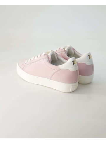 Paul Green Sneaker low in Rosa