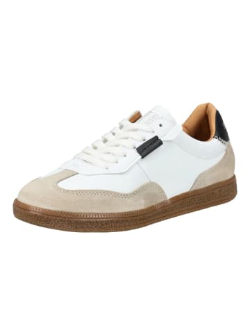 Steve Madden Sneaker in Weiß/Schwarz