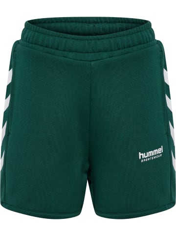 Hummel Verstellbare Taille Kurze Hose Hmljr Loose Kinder in JUNE BUG