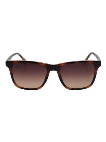 Lacoste Sonnenbrille in Brown
