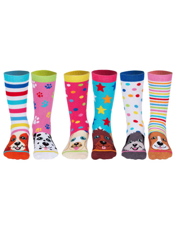 United Oddsocks Socken 3er Pack in Pupstars