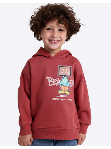 SOLANG Sweatshirt in Rotbraun