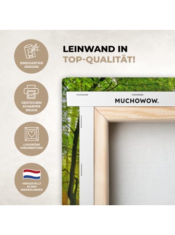 MuchoWow Leinwand bilder Waldlicht (BxH)