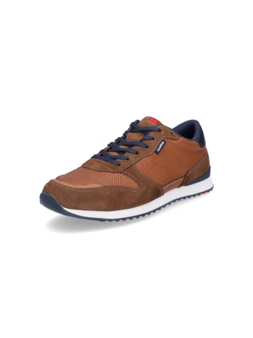 LLOYD Sneaker Edmond in Braun