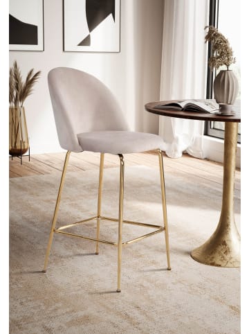 FineBuy Barstuhl in Beige / Samt / 50x50x102