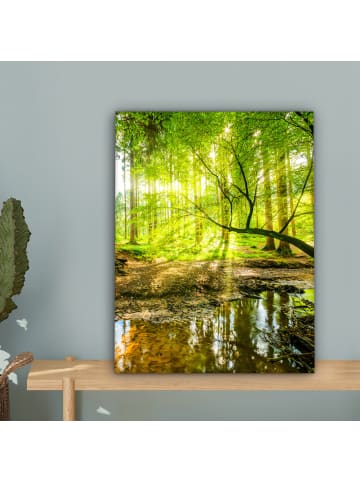 MuchoWow Poster mit Leiste Waldlicht  (BxH)