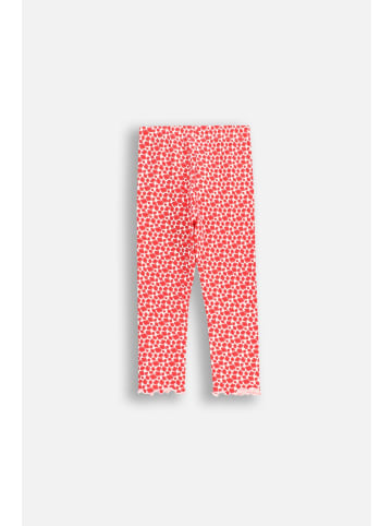 Coccodrillo Leggings mit langem Hosenbein in bunt