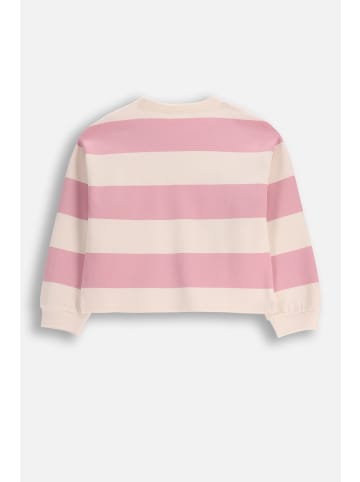 Coccodrillo Gestreiftes Sweatshirt in gedämpftes Rosa