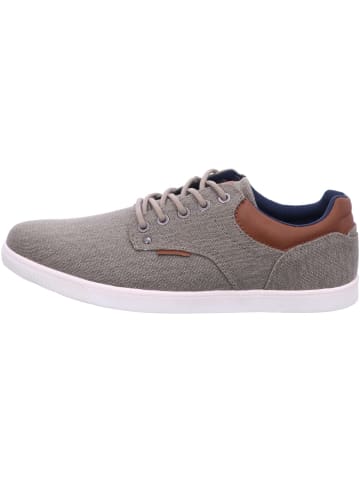 Bullboxer Schnürschuhe  in Beige