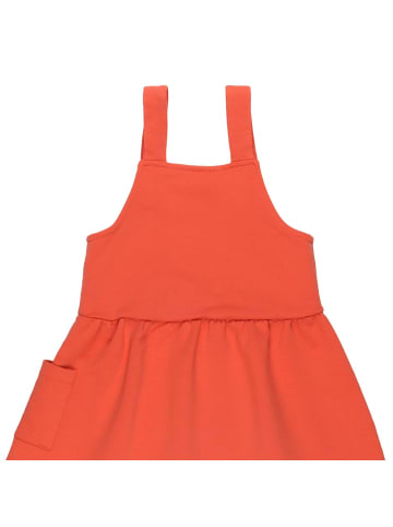 Walkiddy Kleid Langoustine - Dress