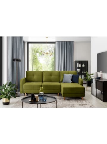 MF Design Roxana in Moos -  (L) 165 x (B) 240 x (H) 90 cm