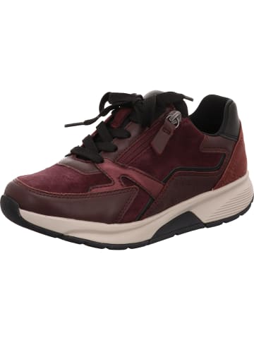 Gabor Sneaker Low in bordeaux