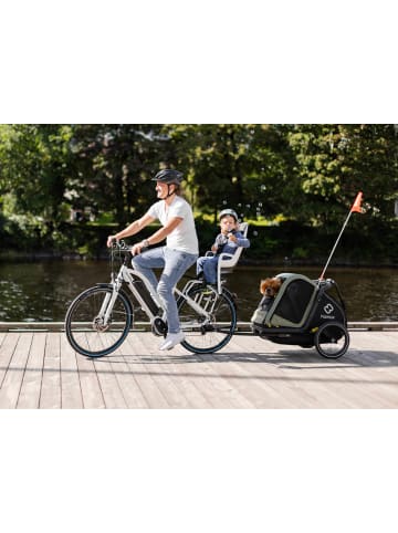 Hamax Hamax Caress Fahrradkindersitz inkl. Gepäckträger-Adapter - Farbe: Grey / White / Black