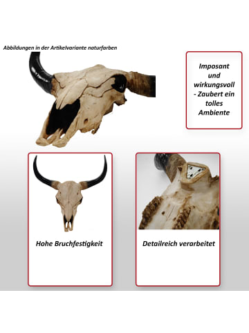 MCW Deko Schädel T454 Stier, Naturfarben