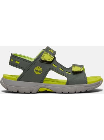 Timberland Sandale "Moss Jump" in Grün