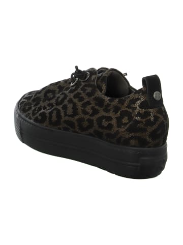 Paul Green Sportliche Schnürschuhe in Schwarz