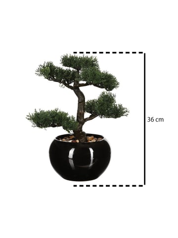 Atmosphera Créateur d'intérieur Kunstbonsai für das Büro in Schwarz, 36 cm