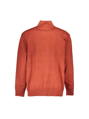 U.S. Polo Bronze Herren Pullover