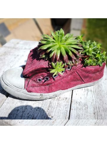 UNUS Blumentopf Schuhe in Rost